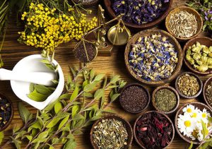 گیاهان دارویی، کاربردها و مزایای استفاده از آن