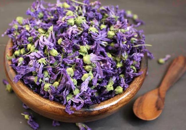 گل ختمی و تاثیرات این گیاه دارویی و شفابخش