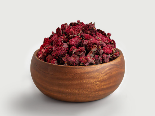 گلنار فارسی