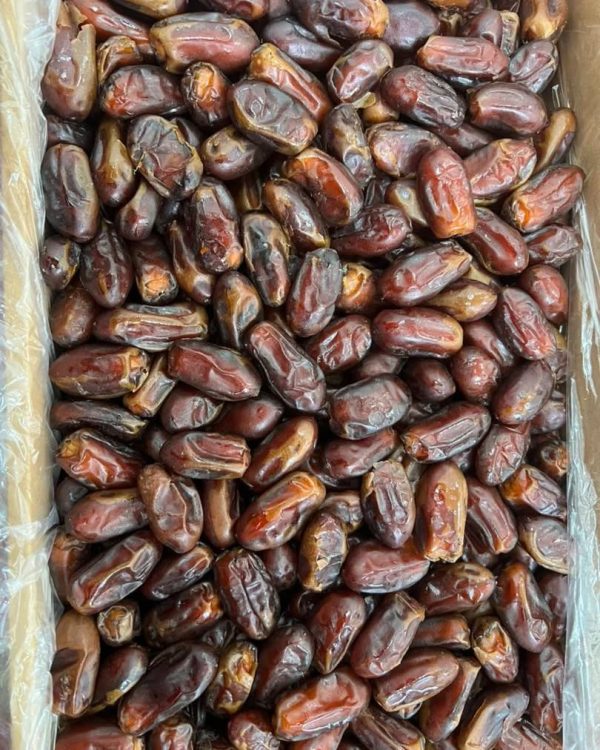 خرما استعمران (سایر)